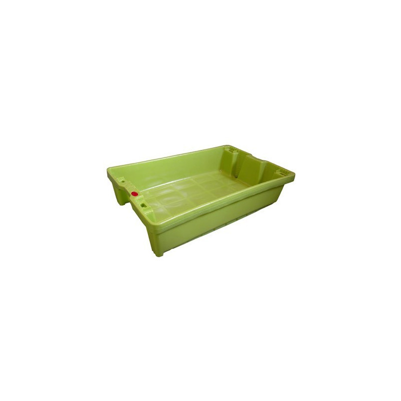 Bac à poissons avec trous de drainage