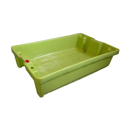 Bac à poissons avec trous de drainage