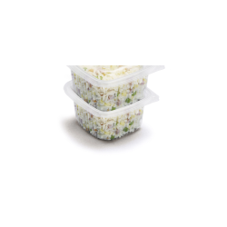 Barquette boîte à couvercle charnière 800cc (x300) ONDIPACK®