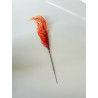 Branches Herbe de Corail Jaune-Orange x 5 - H49cm