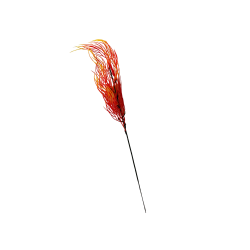 Branches Herbe de Corail Jaune-Orange x 5 - H49cm