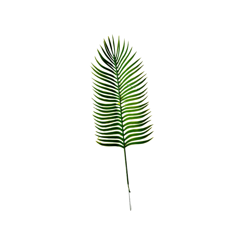 Feuilles de palmier artificielle PHOENIX x 5 - H 43 cm D 15 cm