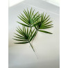 Feuilles de palmier Chamaerops artificielle x 5 -  H 40 cm D 26 cm