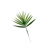 Feuilles de palmier Chamaerops artificielle x 5 -  H 40 cm D 26 cm