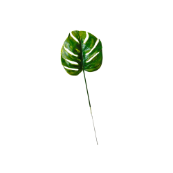 Feuilles de philodendron artificielle x 5 - H 39 cm D 15 cm