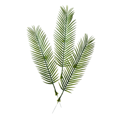 Feuilles de palmier cycas artificielle x 5 - H 57cm D 15 cm
