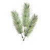 Feuilles de palmier cycas artificielle x 5 - H 57cm D 15 cm