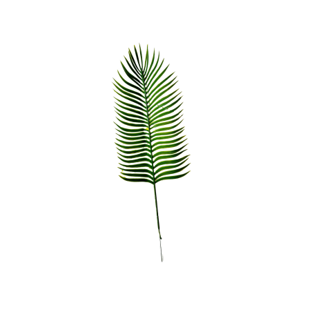 Feuilles de palmier cycas artificielle x 5 - H 57cm D 15 cm