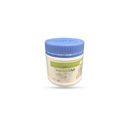 PASTILLE DE JAVEL FORMULE EFFERVESCENTE BOITE DE 500 GRS - COLIS DE 12
