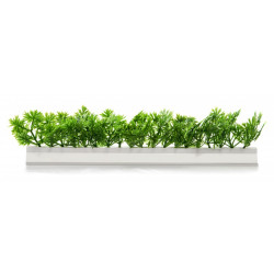 Barrettes modèle PERSIL - Boîte de 12 pièces