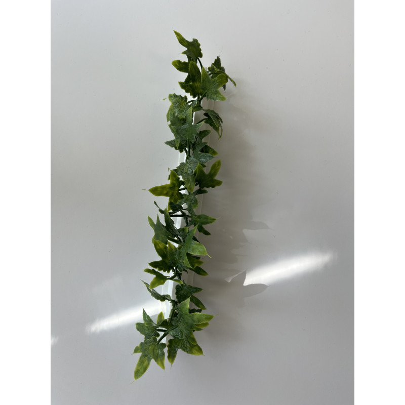 Barrettes modèle LIERRE - Boîte de 12 pièces