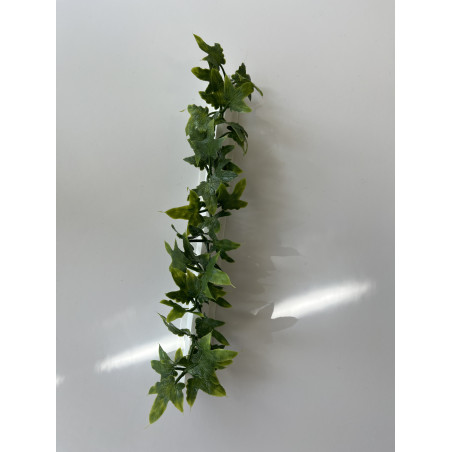 Barrettes modèle LIERRE - Boîte de 12 pièces