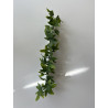 Barrettes modèle LIERRE - Boîte de 12 pièces