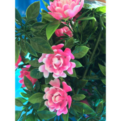 Guirlande de ROSES roses - Longueur 165 cm - VENDU A L'UNITÉ