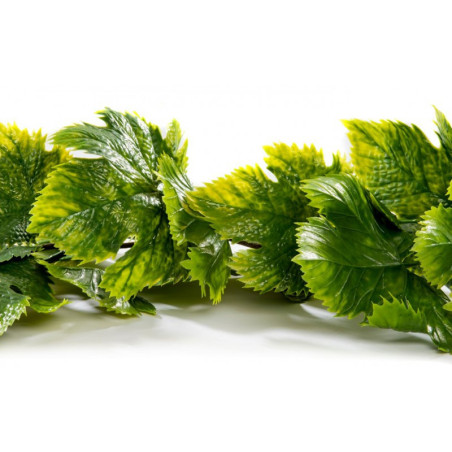 Guirlande de VIGNE VERTE - Longueur 180 cm - VENDU A L'UNITÉ