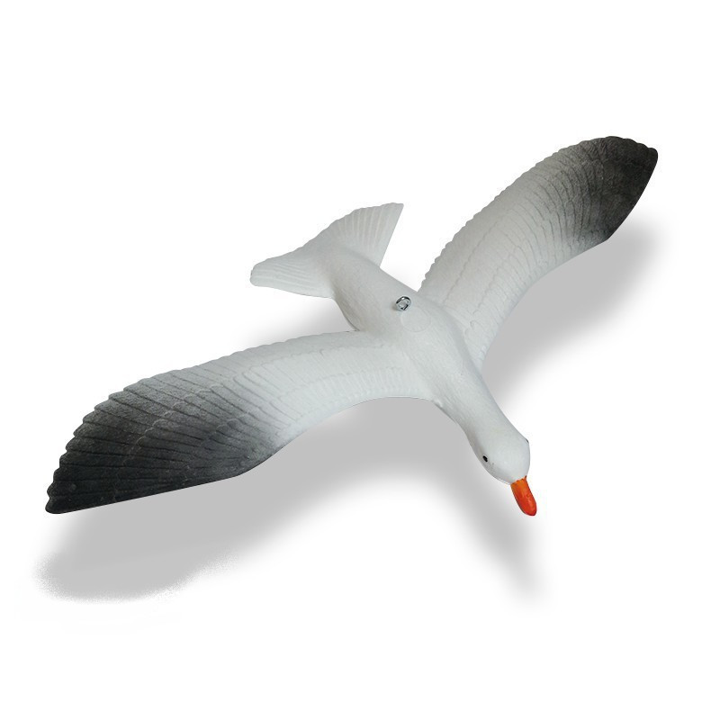 MOUETTE