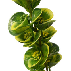 Bupleurum en pic plastique artificiel x 5 -  H 40 cm