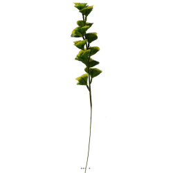 Bupleurum en pic plastique artificiel x 5 -  H 40 cm