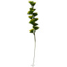 Bupleurum en pic plastique artificiel x 5 -  H 40 cm