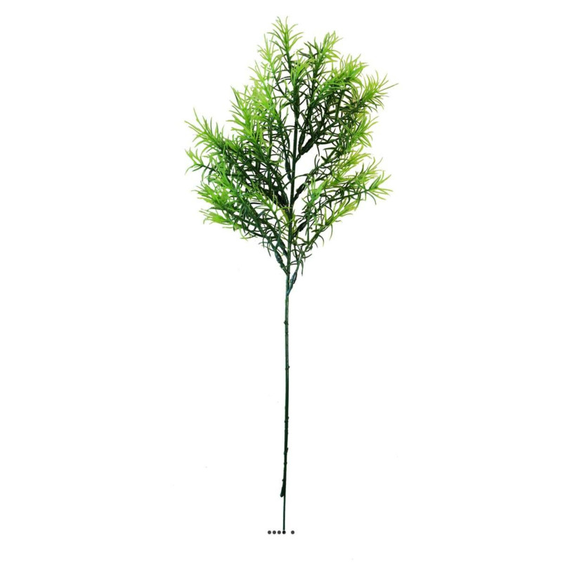 Asparagus Sprengeri en pic plastique artificiel vert x 5 -  H 42 cm
