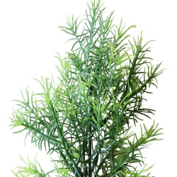 Asparagus Sprengeri en pic plastique artificiel vert x 5 -  H 42 cm