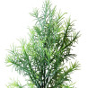 Asparagus Sprengeri en pic plastique artificiel vert x 5 -  H 42 cm
