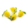 CITRON ENTIER AVEC FEUILLE - Dim. 6x8 cm - paquet de 12 citrons