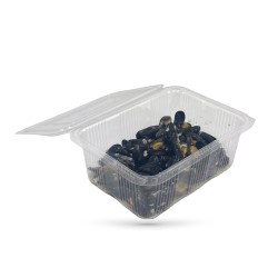 BARQUETTE FRAICHEUR AVEC COUVERCLE 2000 GRS -30° A 40°C 23X17.5X8.5 CM (50 U)