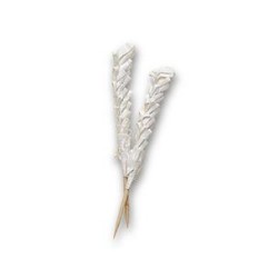 Vente dde vannerie polypropylène & équipement poissonnerie - LaBoutiqueDuPoissonnier.Com