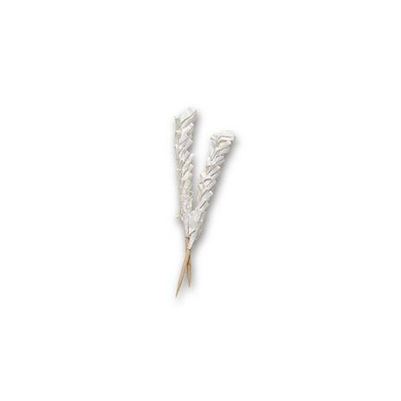 Vente dde vannerie polypropylène & équipement poissonnerie - LaBoutiqueDuPoissonnier.Com