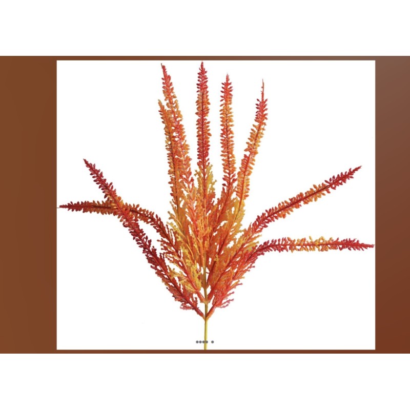 Pic de thuya rouge orange X5