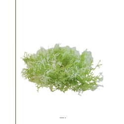 Piquet d'herbe de corail artificielle