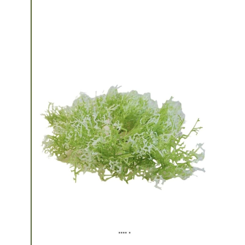 Piquet d'herbe de corail artificielle