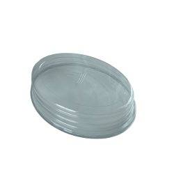 Coiffes Ovales clipsables pour plateaux Fruits de Mer réutilisables -  Ovale 49 x 35 cm - Némo - colis 16